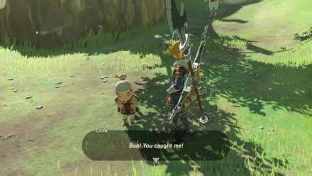 playtime with cottla botw|botw walkthrough ign.